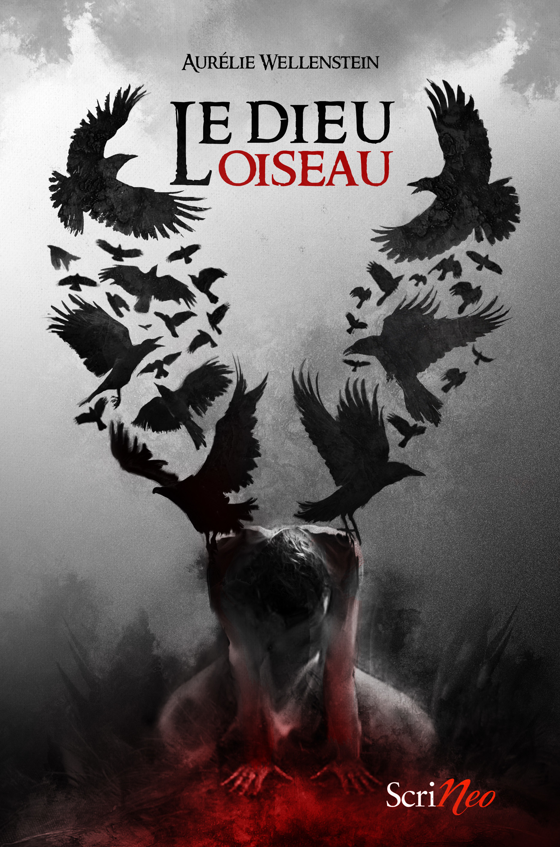 Le Dieu oiseau book cover