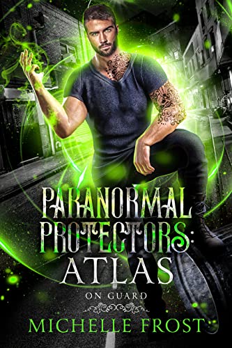 Paranormal Protectors book cover