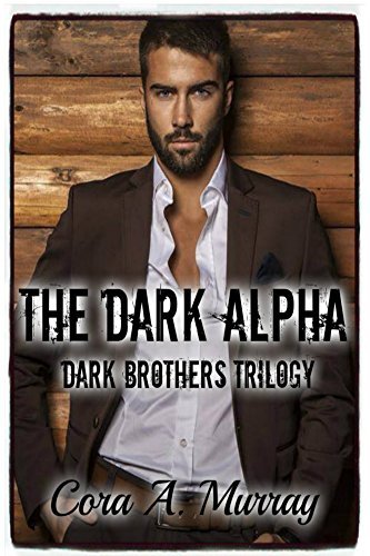 Dark Brothers Trilogy book cover 1