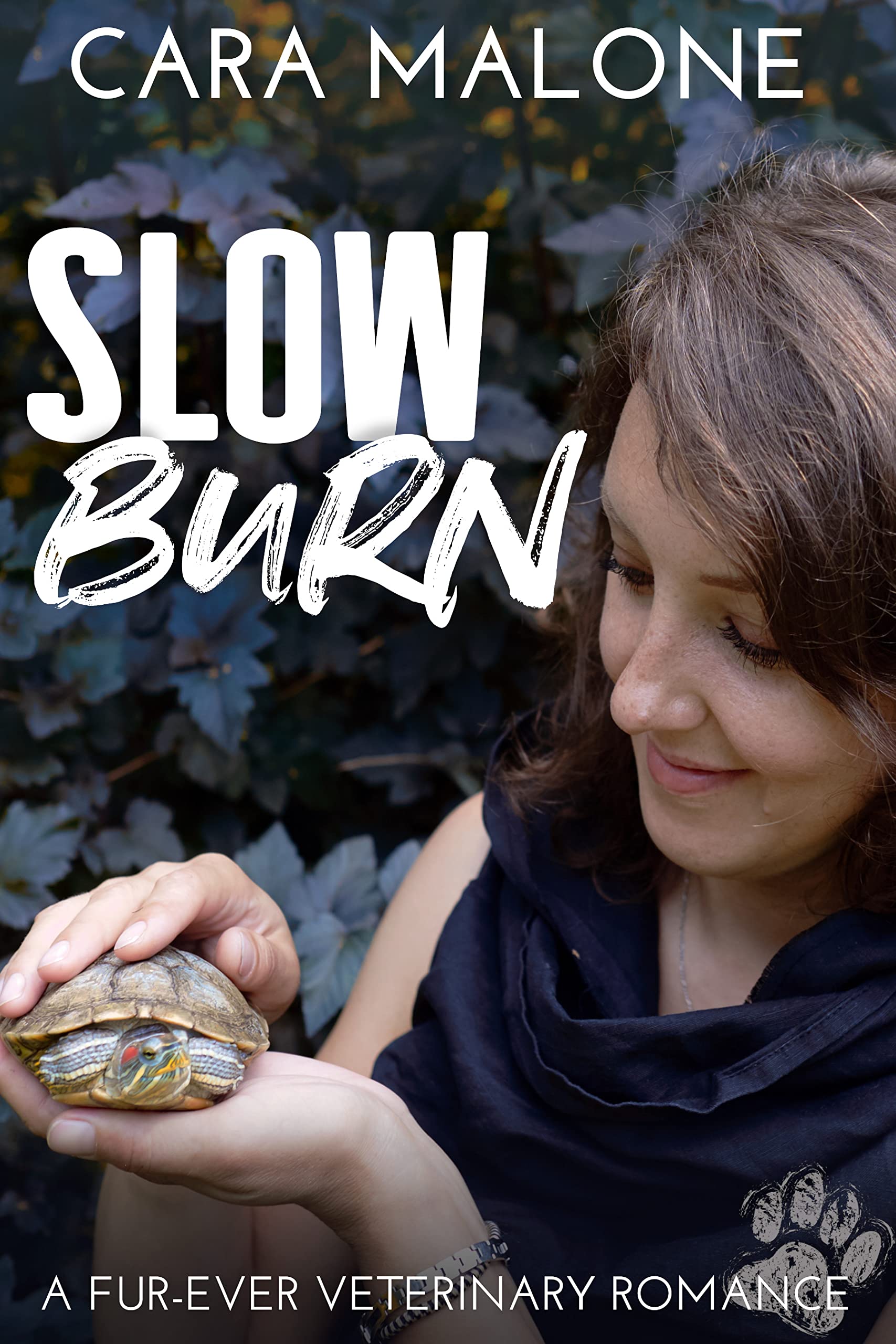 Slow Burn book cover