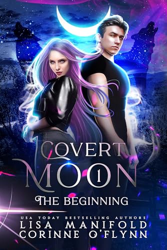 The Beginning book cover
