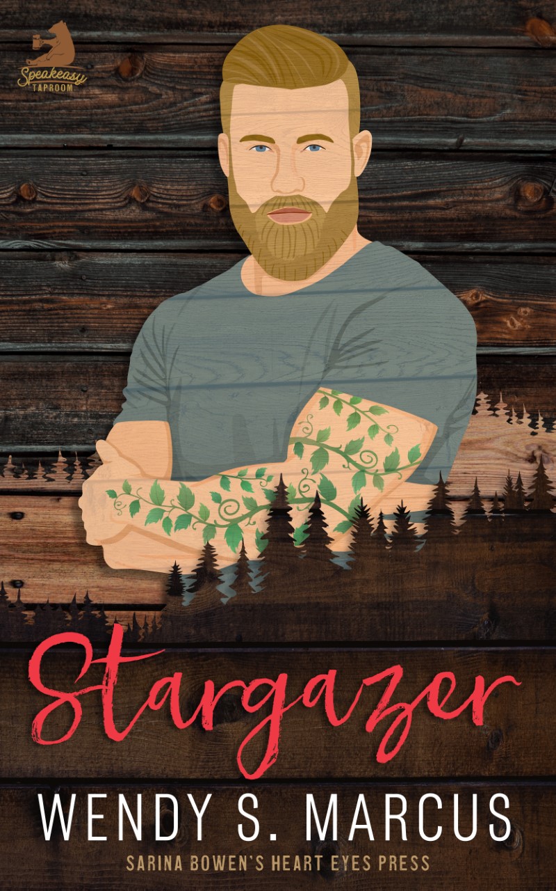 Stargazer book cover