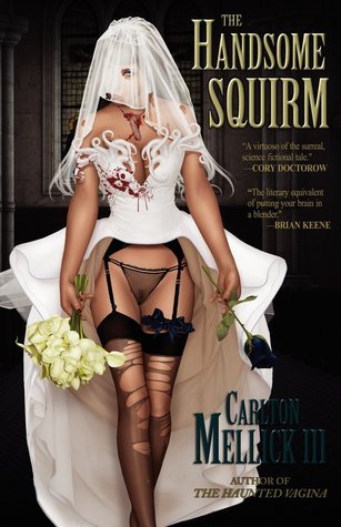 The Handsome Squirm book cover