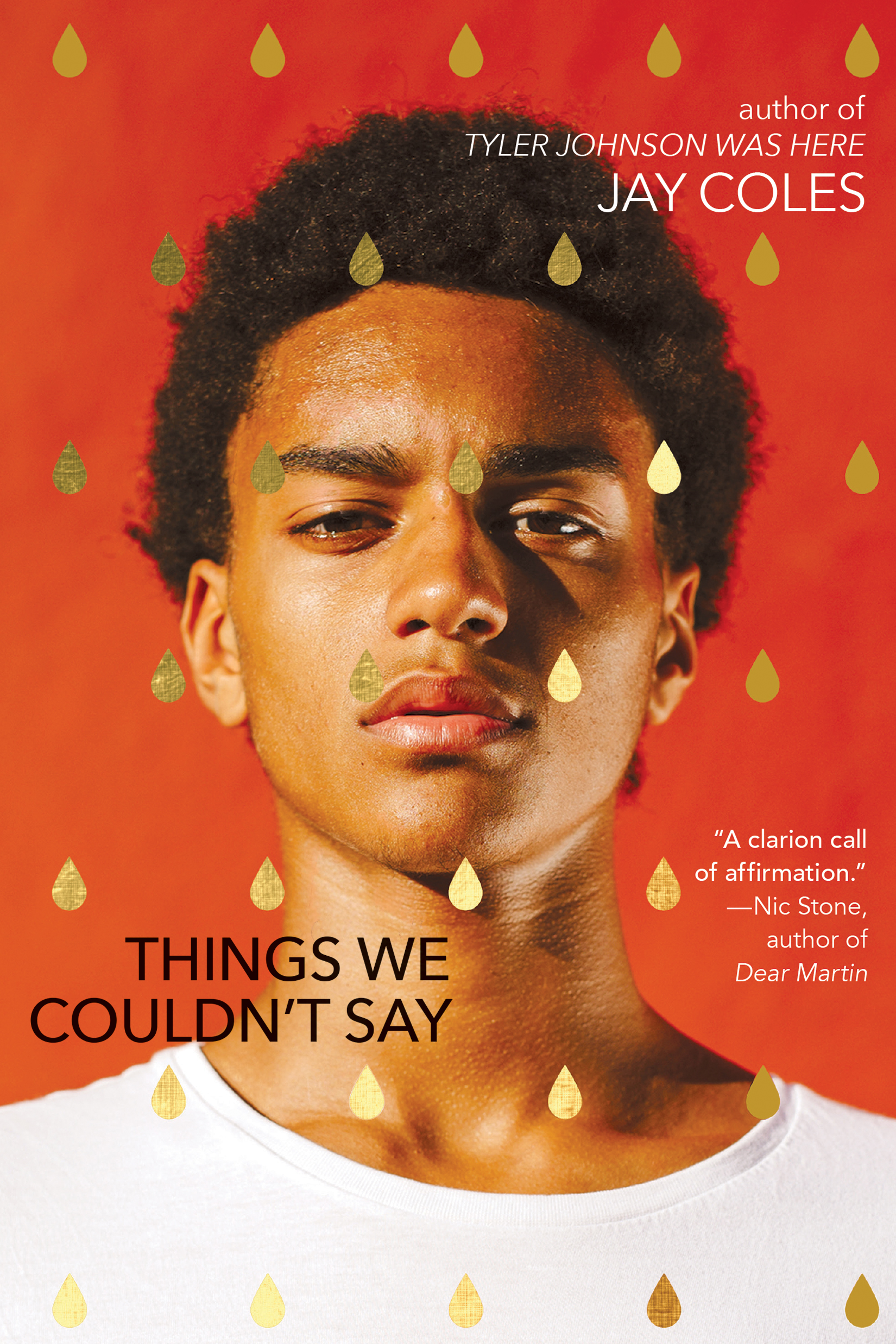 Things We Couldn't Say book cover
