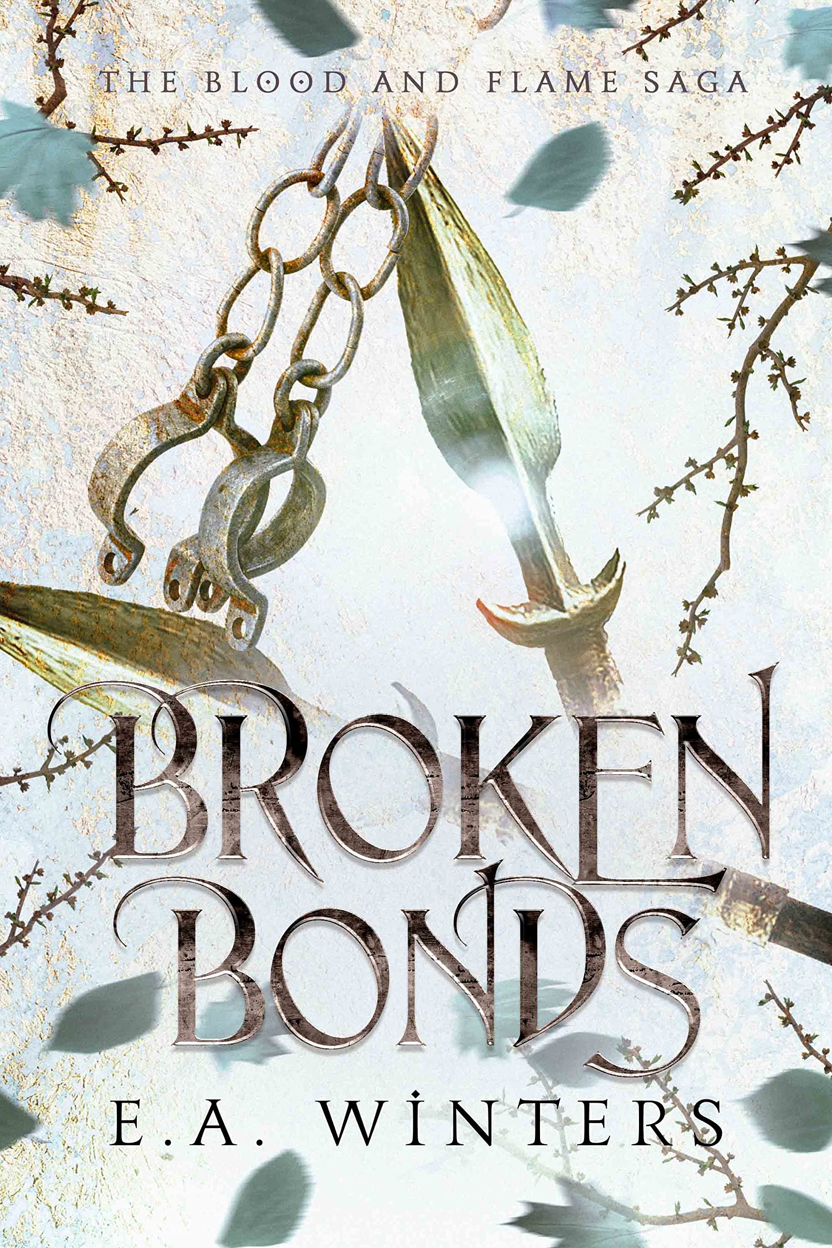 Blood & Flame Saga book cover 2