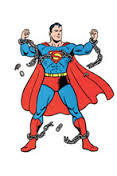The Superman Chronicles book cover 2