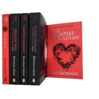 Vampire Academy book cover