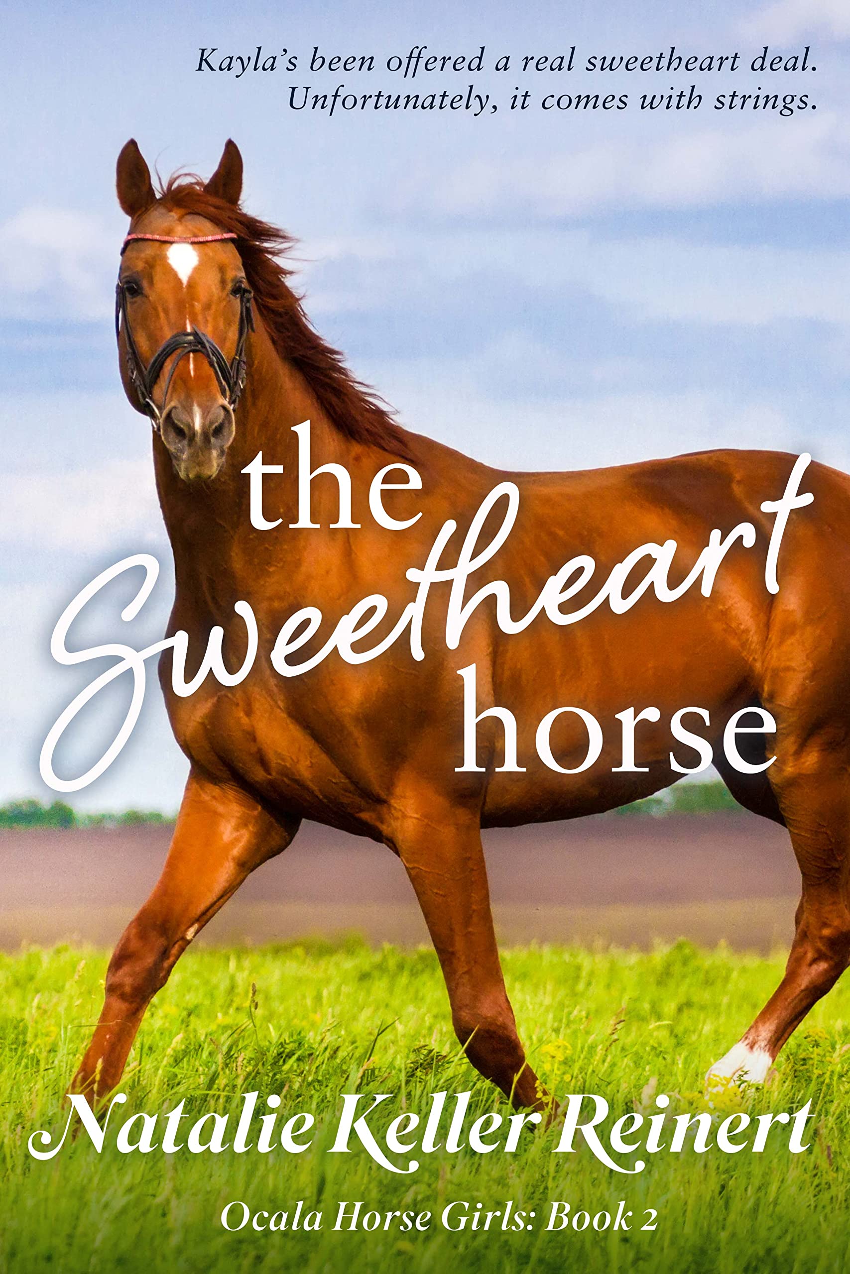 The Sweetheart Horse book cover