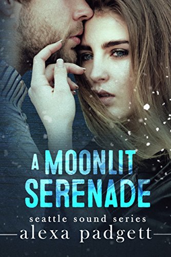 A Moonlit Serenade book cover