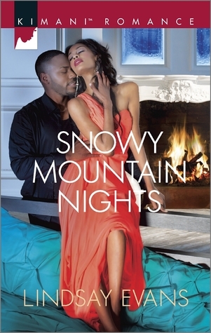 Snowy Mountain Nights book cover