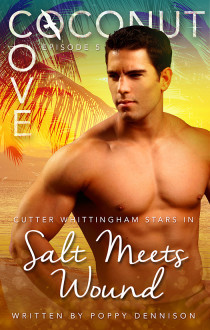 Coconut Cove book cover 2