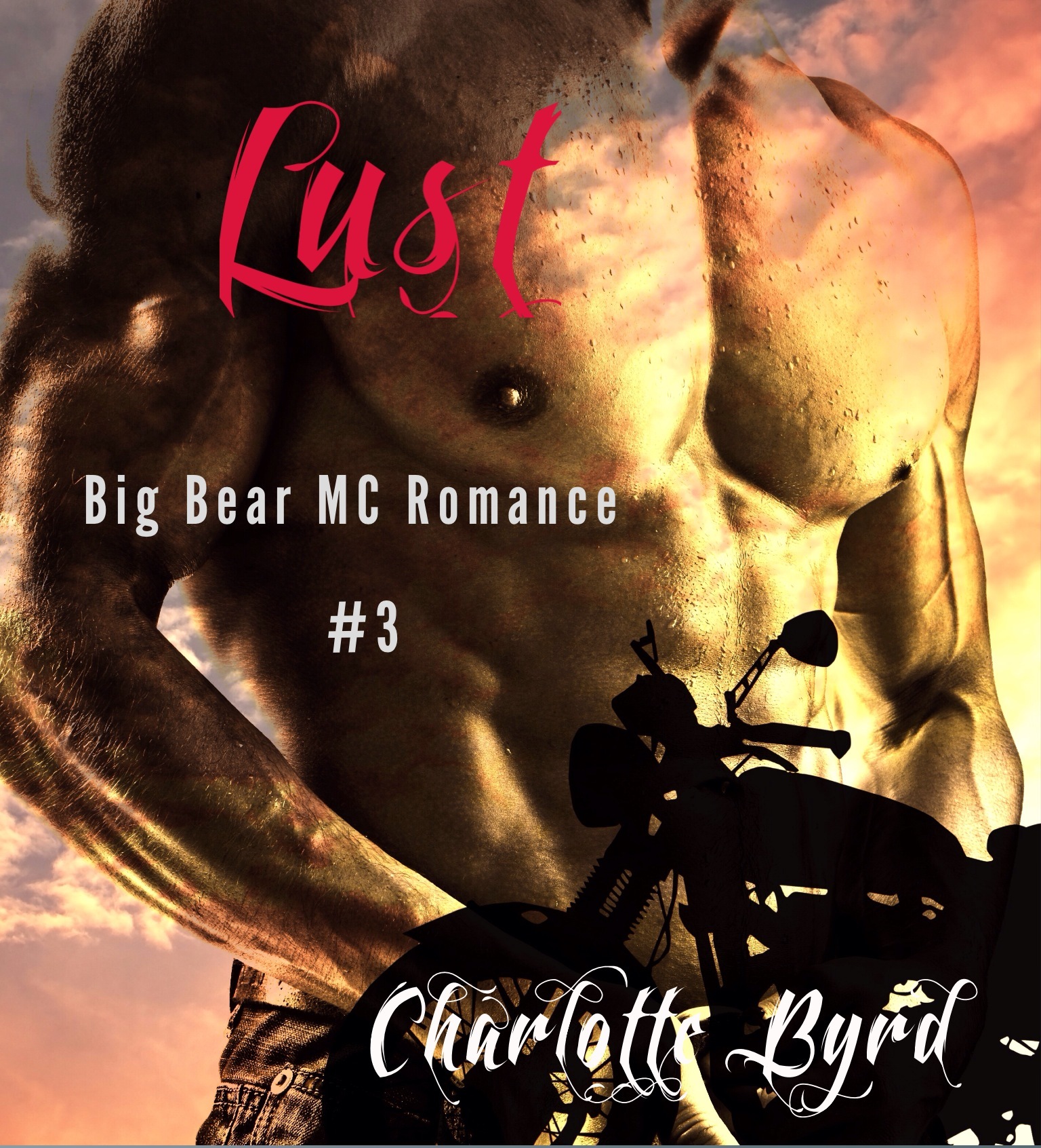 Big Bear Outlaw MC book cover 3