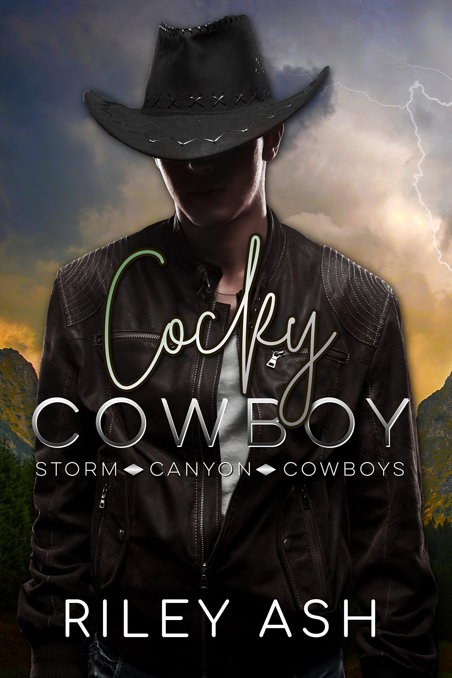 Storm Canyon Cowboys book cover 2