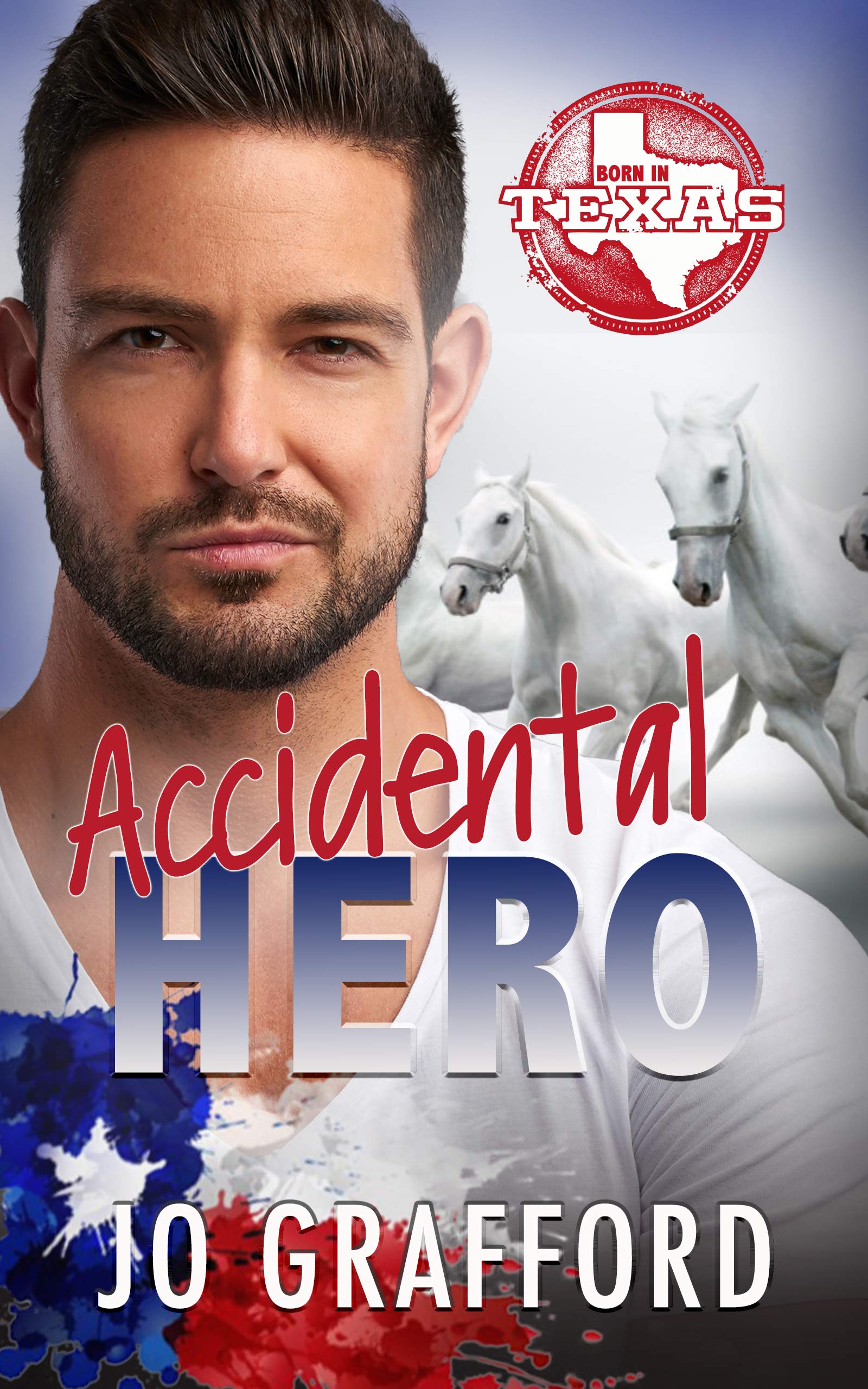 Accidental Hero book cover