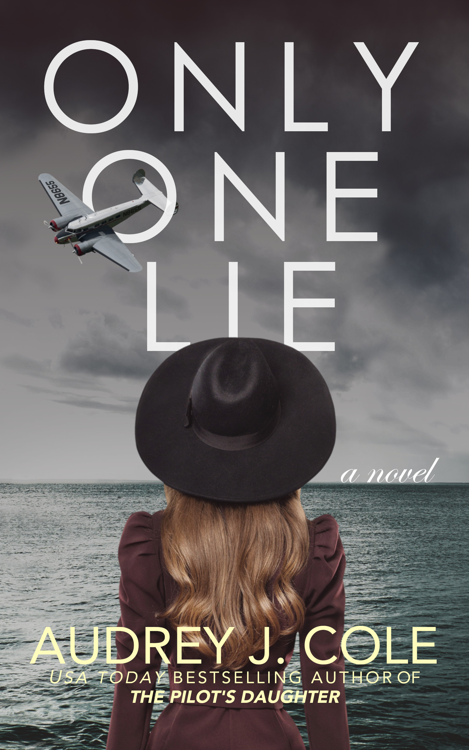 Only One Lie book cover