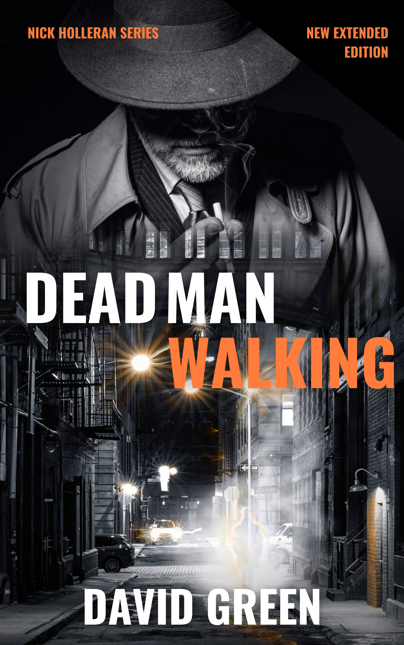 Nick Holleran book cover 1