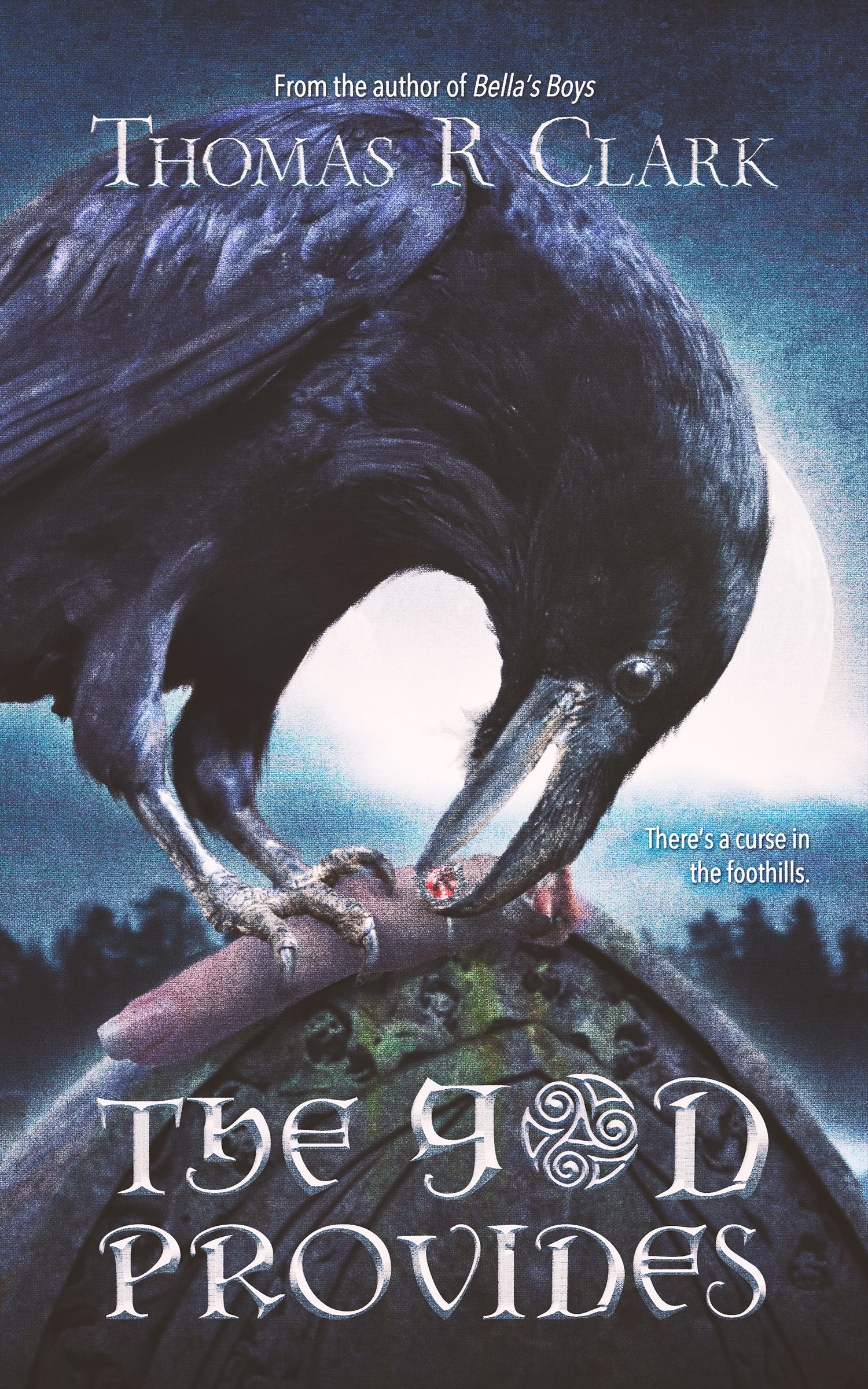 The God Provides book cover