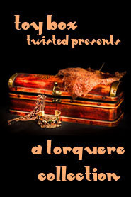 Toy Box book cover