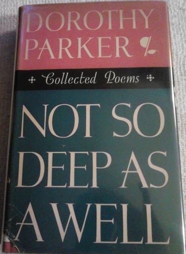 Not So Deep As A Well book cover