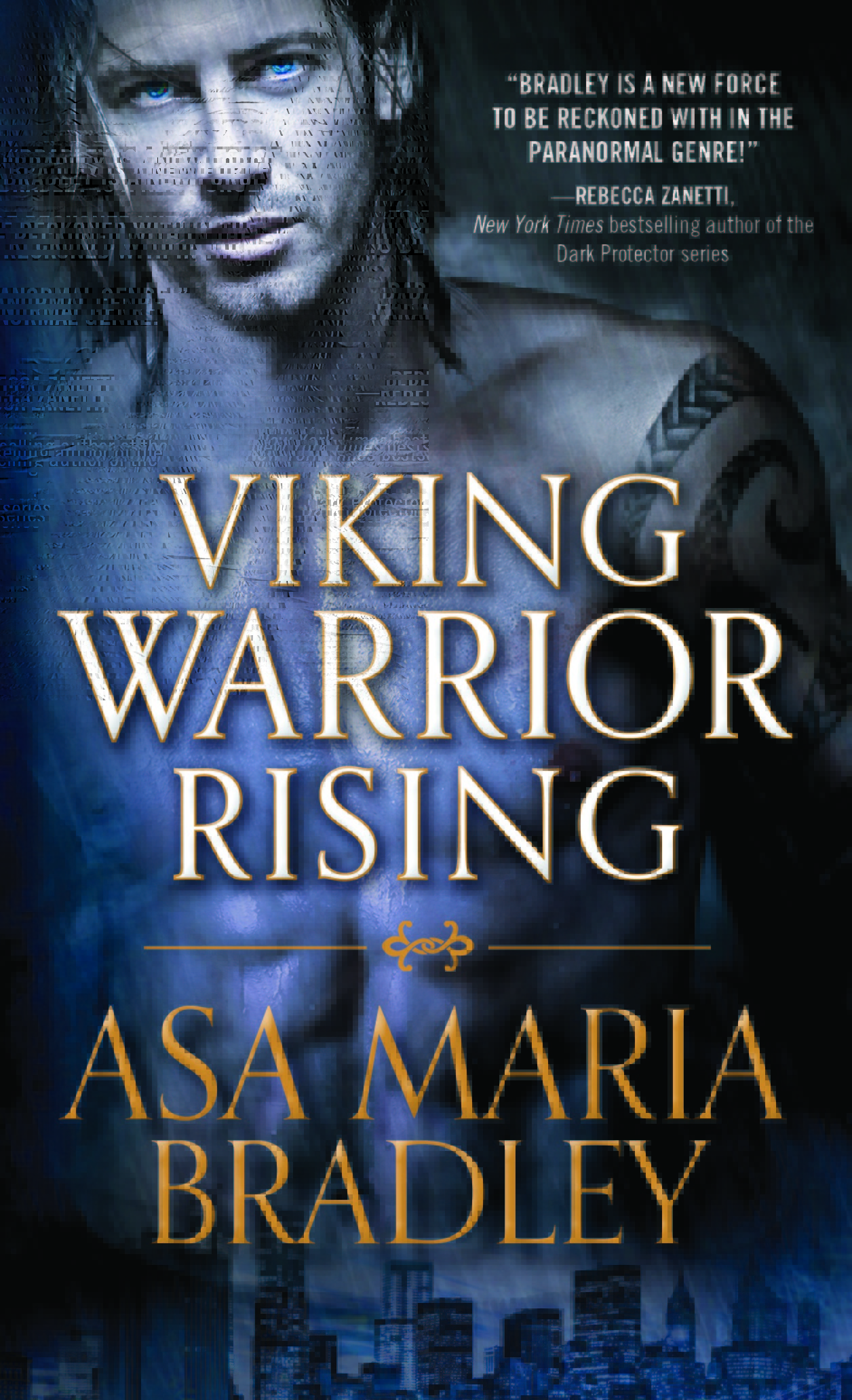 Viking Warriors/Norse Warrior Protectors book cover 1