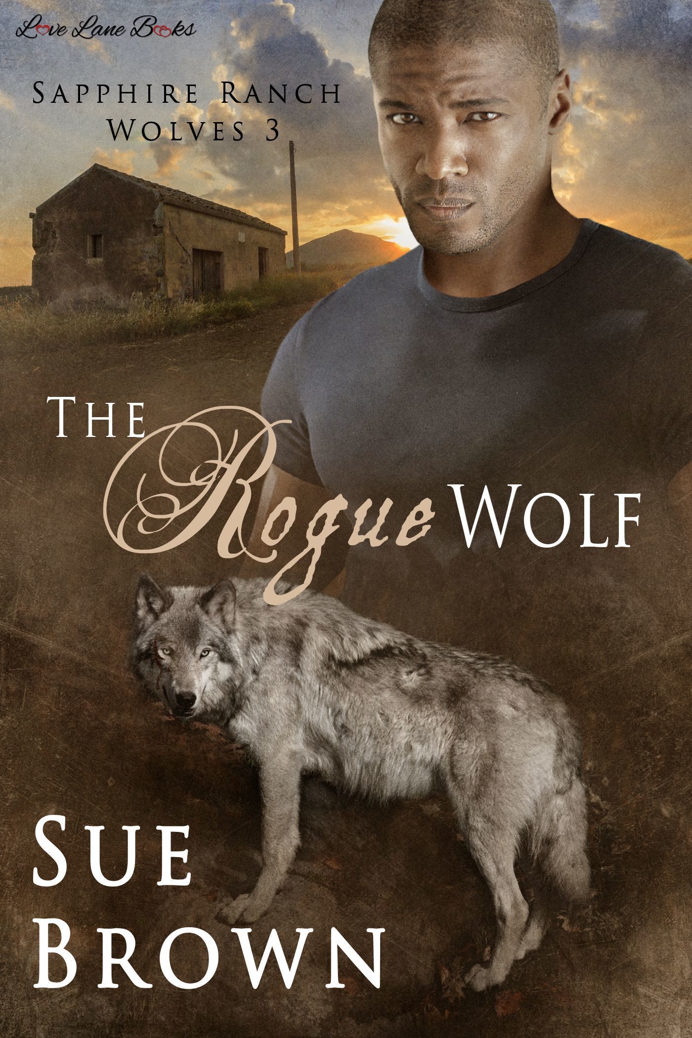 Sapphire Ranch Wolves book cover 3