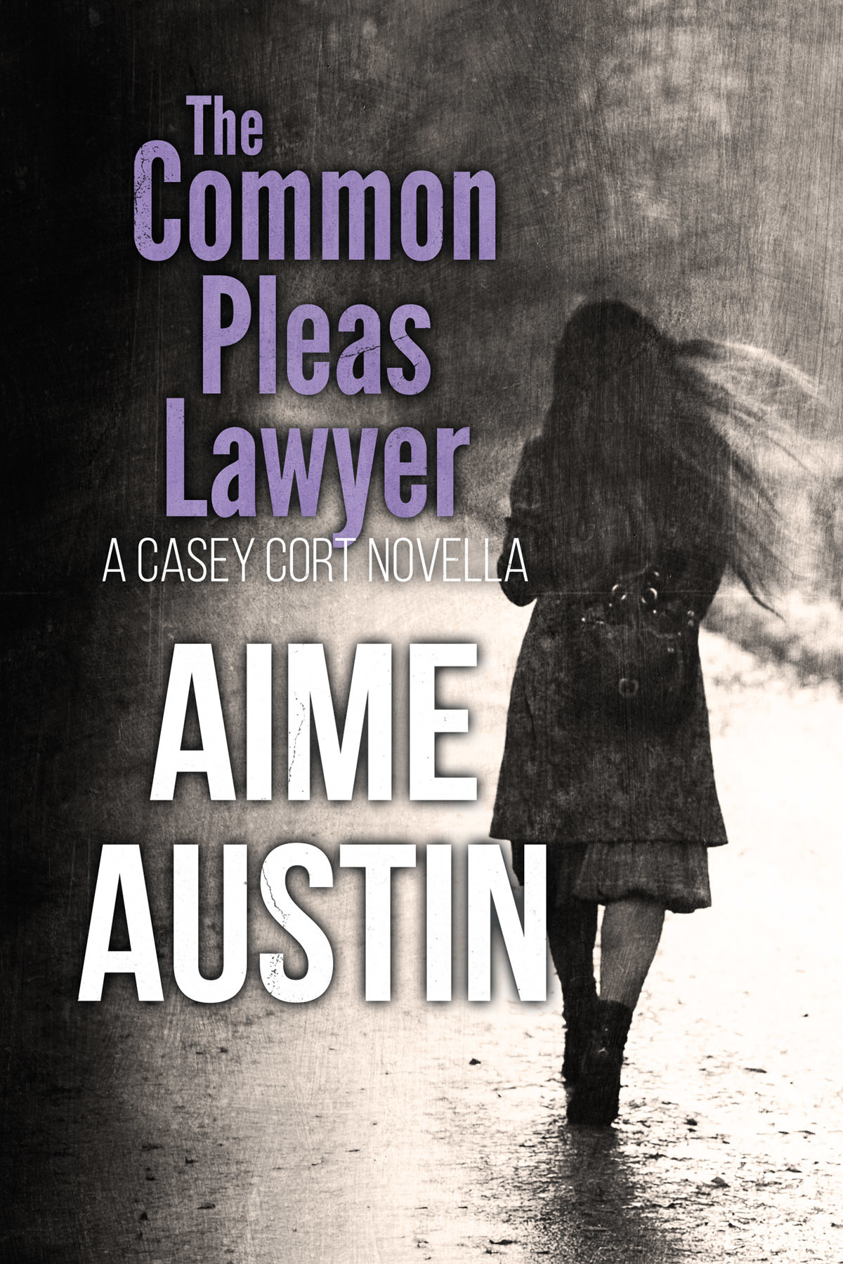 Disgraced book cover