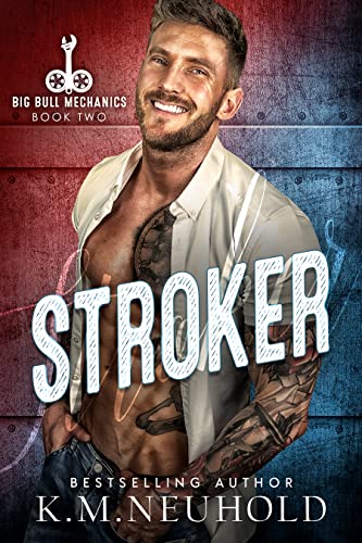 Big Bull Mechanics book cover 1