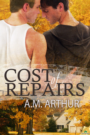 Cost of Repairs book cover 1