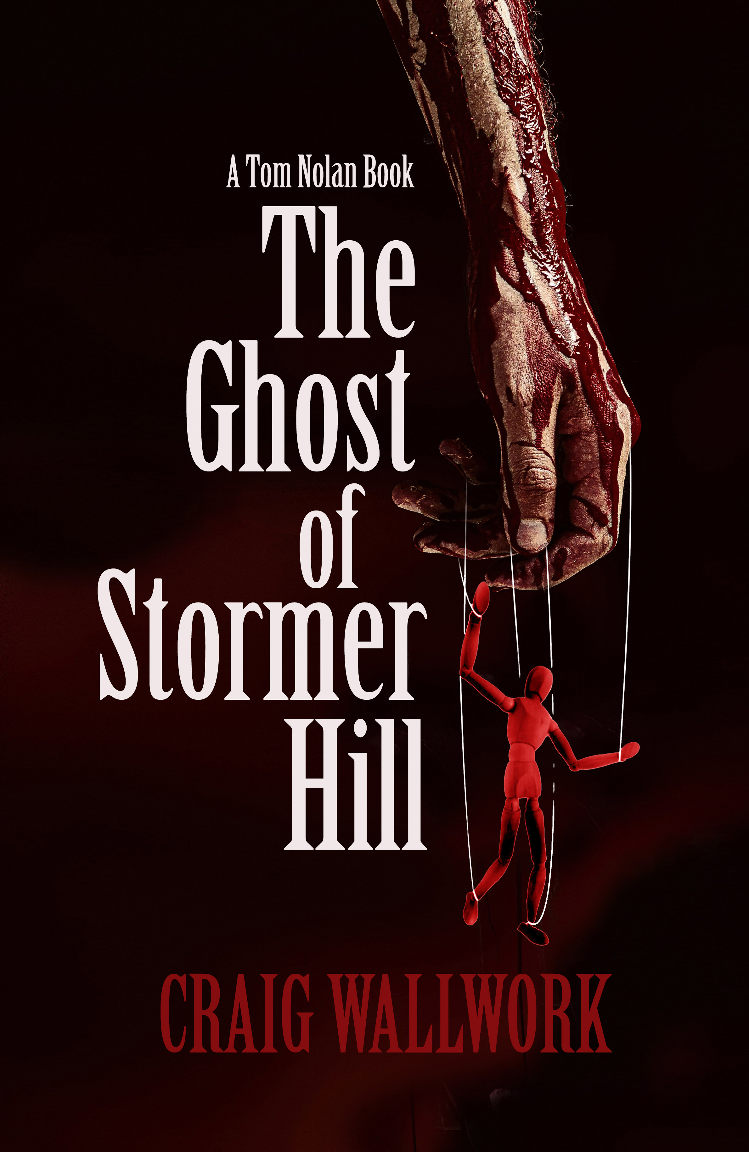 The Ghost of Stormer Hill book cover