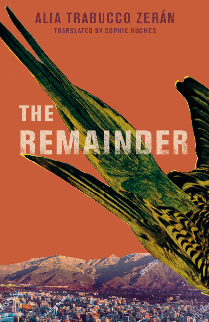 The Remainder book cover