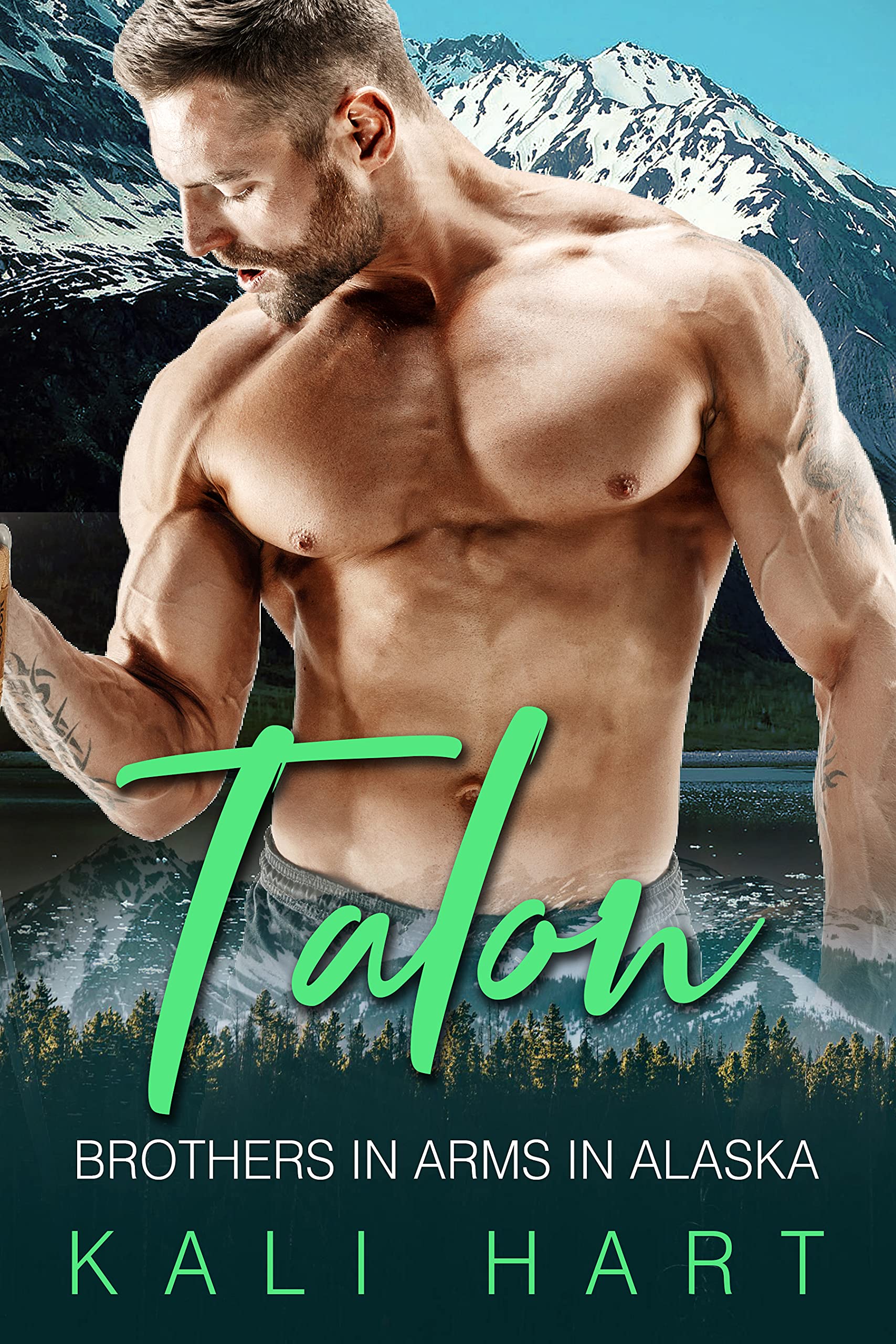 Talon book cover