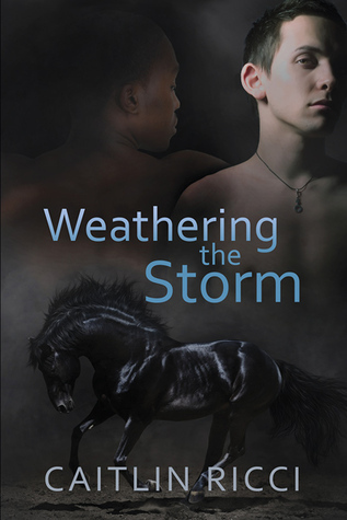 Robbie & Sam book cover 1