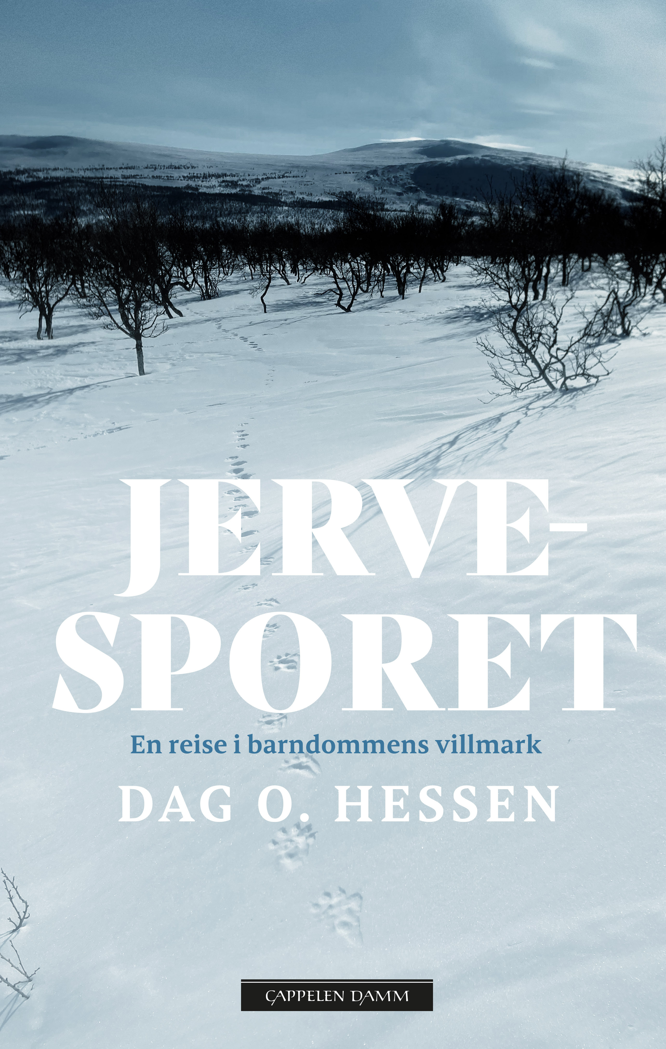 Jervesporet book cover