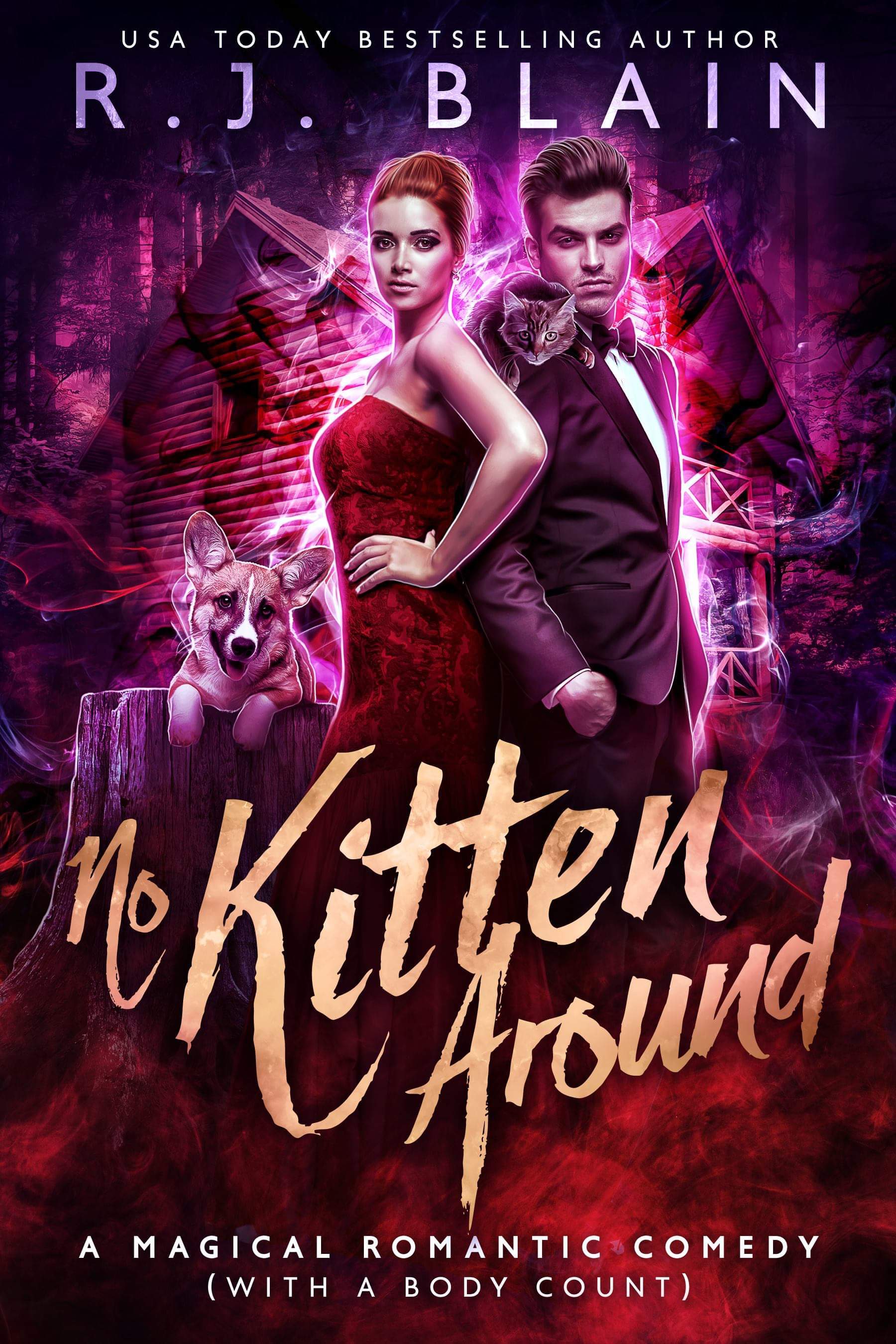 No Kitten Around book cover