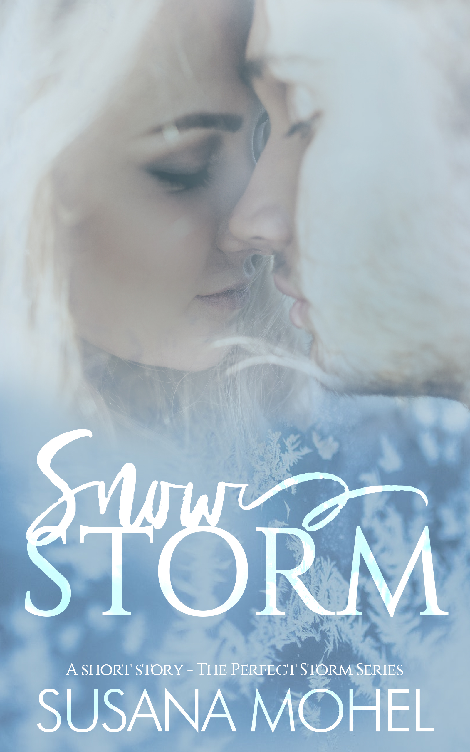 SnowStorm book cover