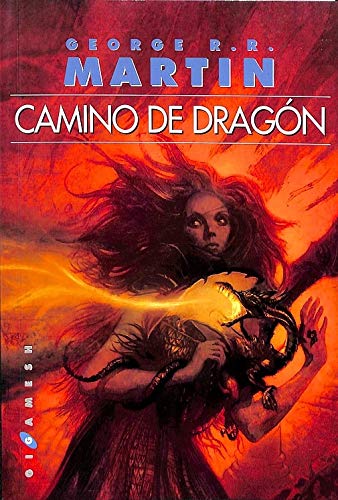 Camino de Dragón book cover