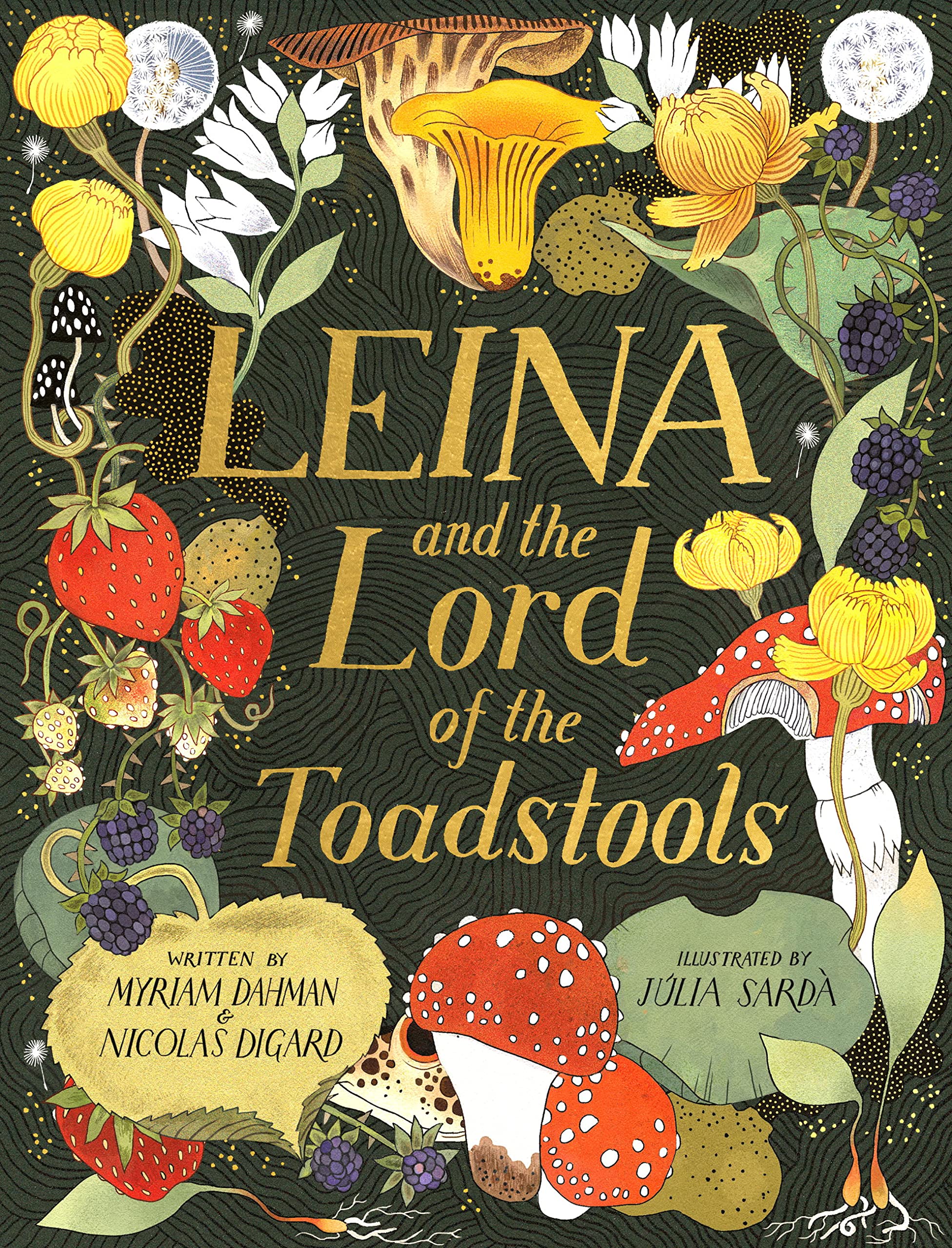 Leina and the Lord of the Toadstools book cover