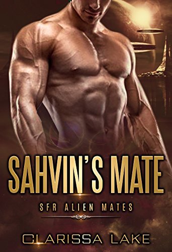 Sahvin's Mate book cover