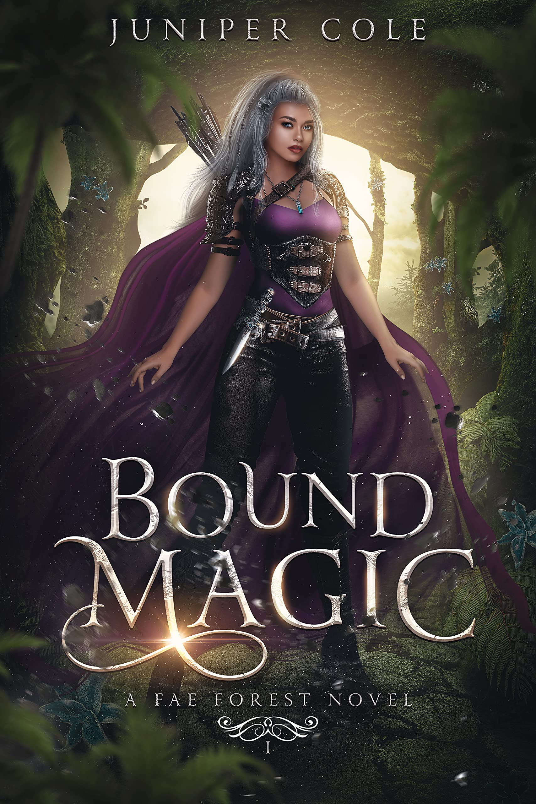 Fae Forest book cover 1