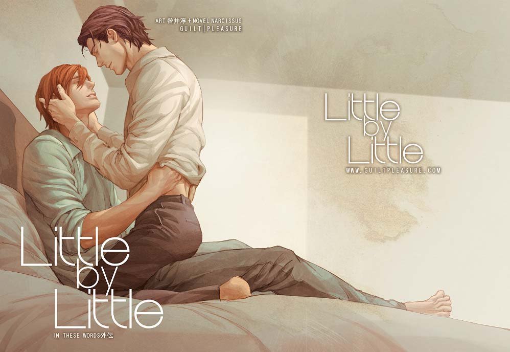 Little by Little book cover