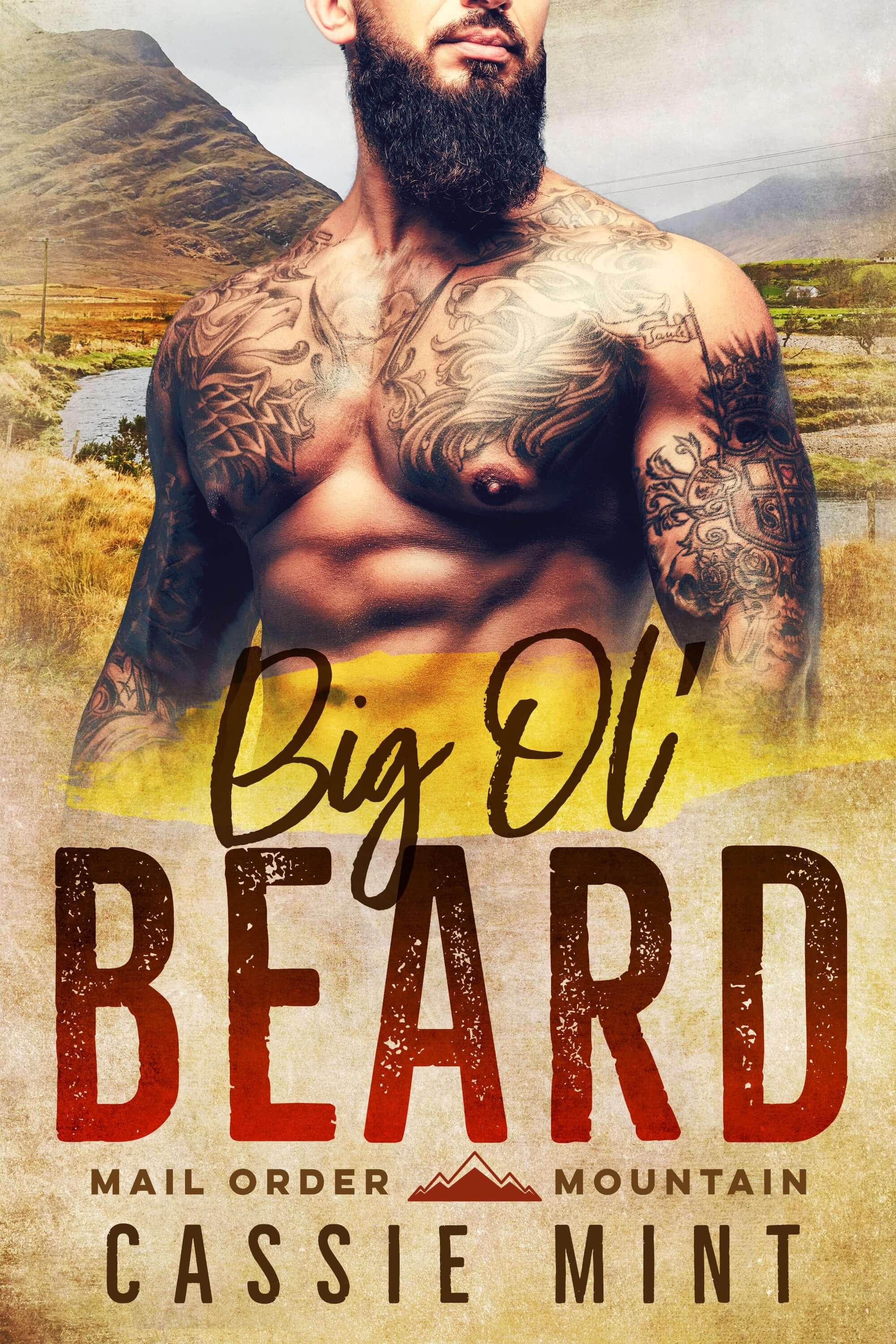 Mail Order Mountain book cover 1
