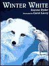 Winter White book cover