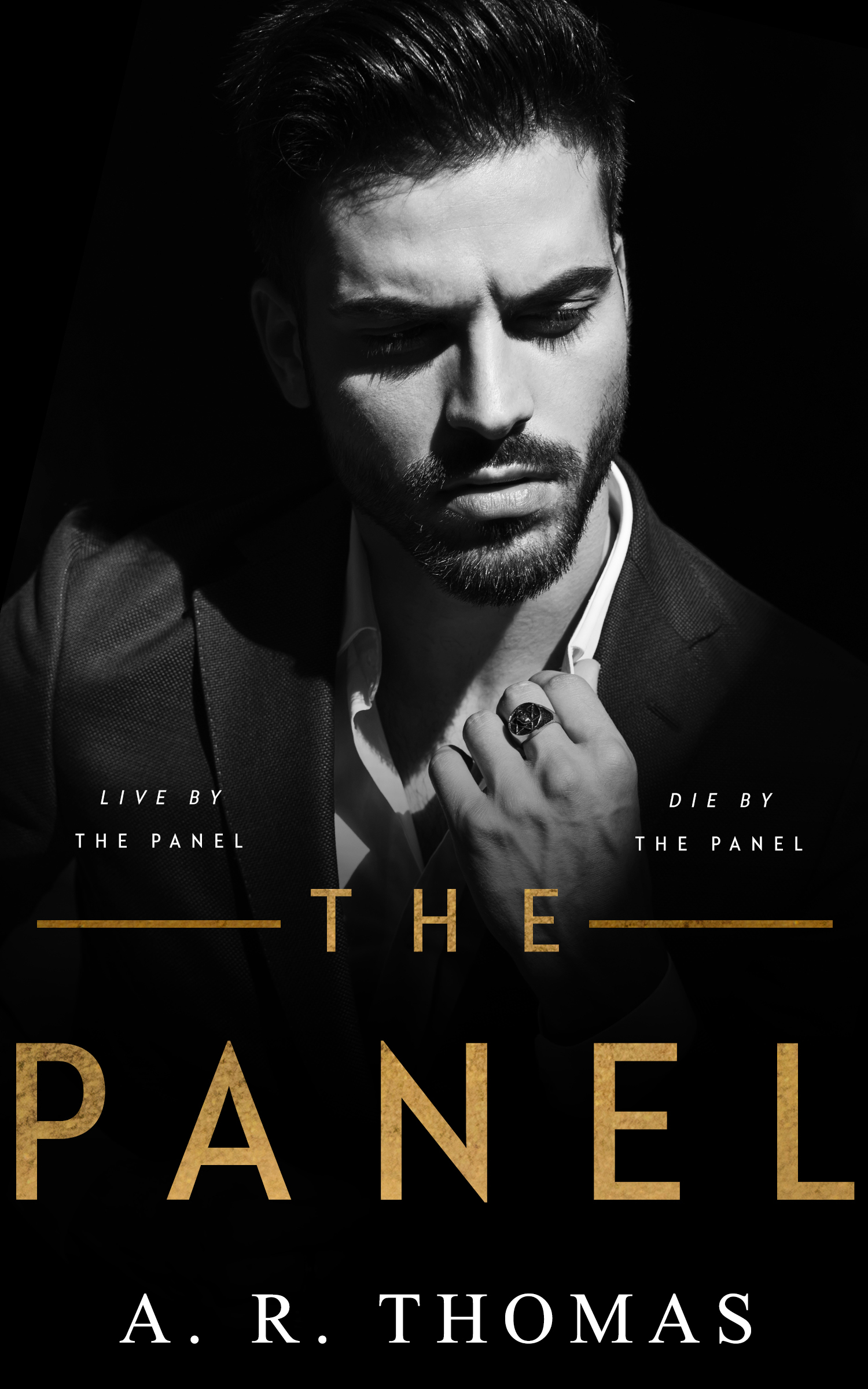 The Panel book cover