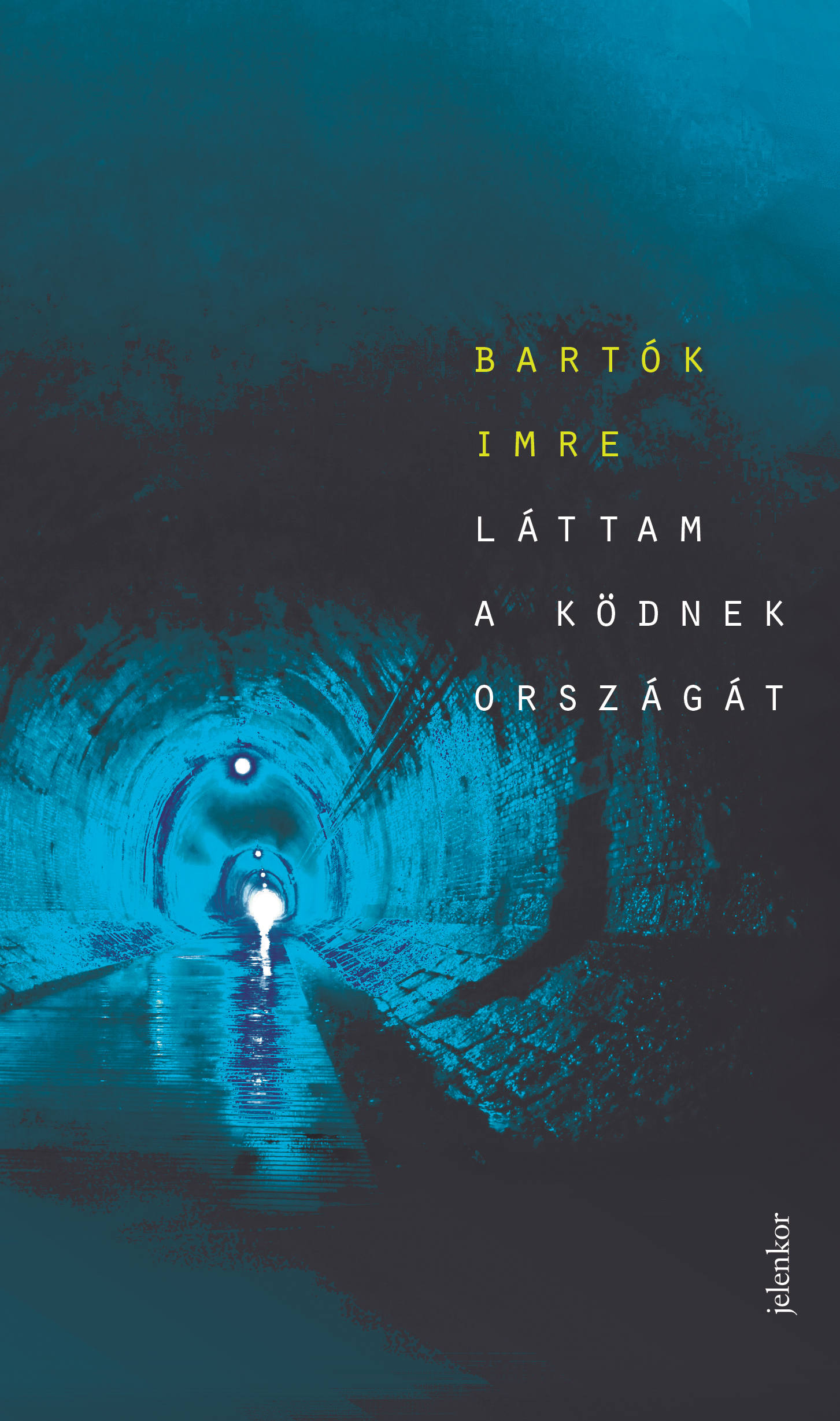 Láttam a ködnek országát book cover
