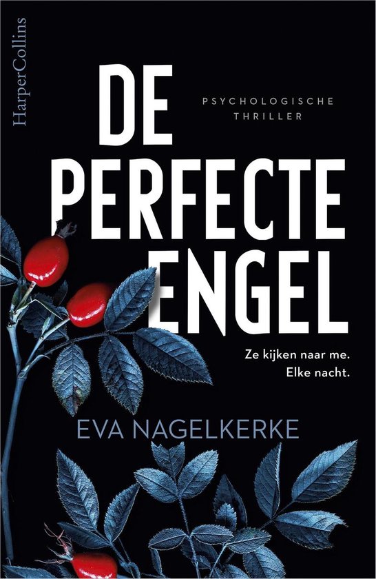 De perfecte engel book cover
