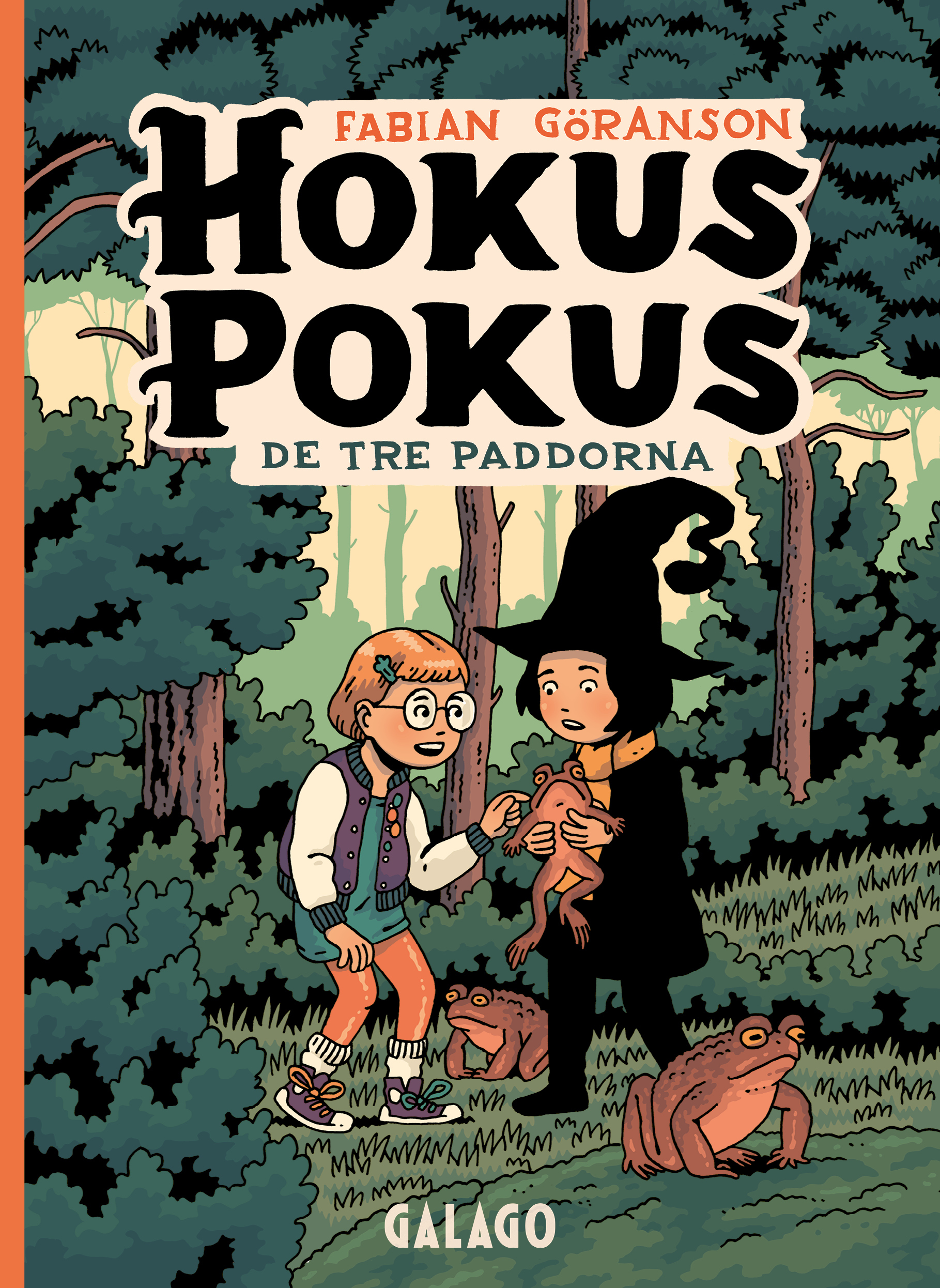 Hokus Pokus book cover 2