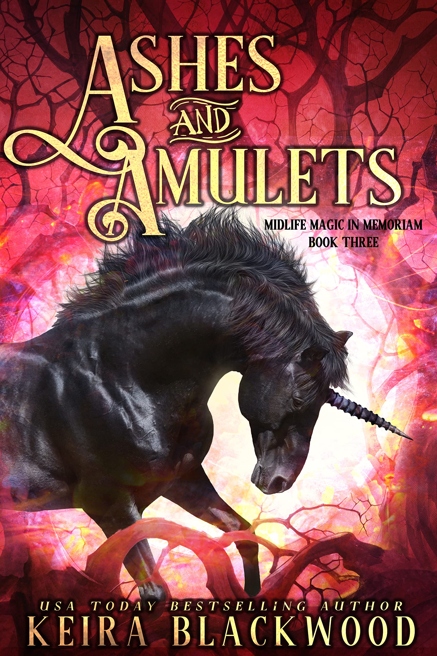 Midlife Magic in Memoriam book cover 2
