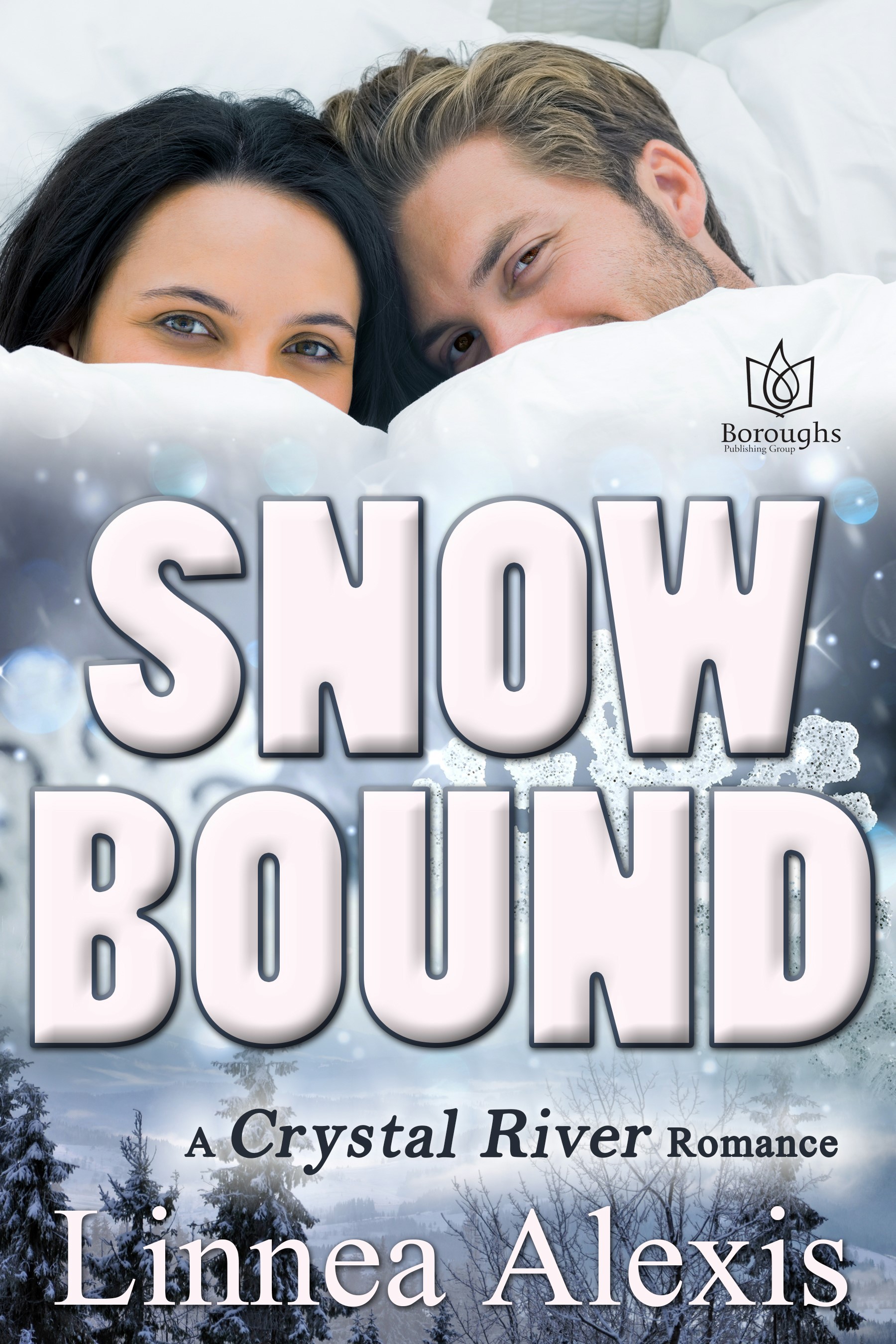 Snowbound book cover