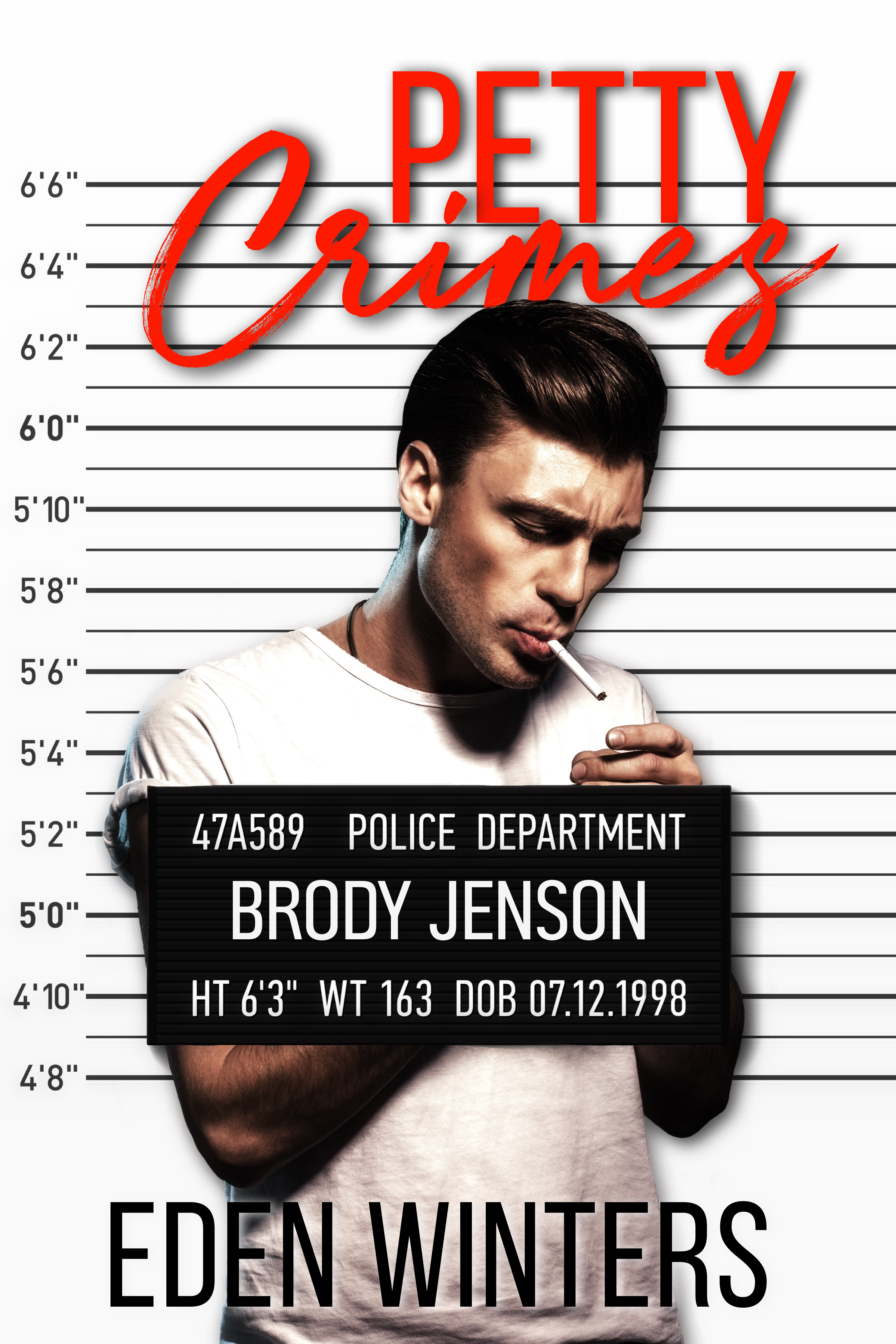 Petty Crimes book cover