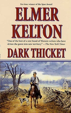 Dark Thicket book cover